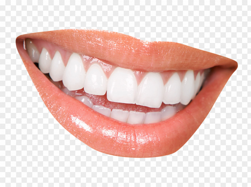 Teeth Cosmetic Dentistry Clinic Periodontology PNG