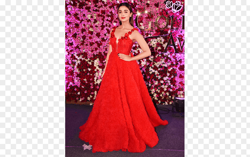 Actor 0 Lux Style Awards Bollywood Red Carpet PNG