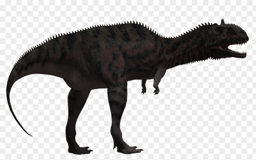 Dinosaur Tyrannosaurus Majungasaurus Velociraptor Dicraeosaurus Abelisauridae PNG