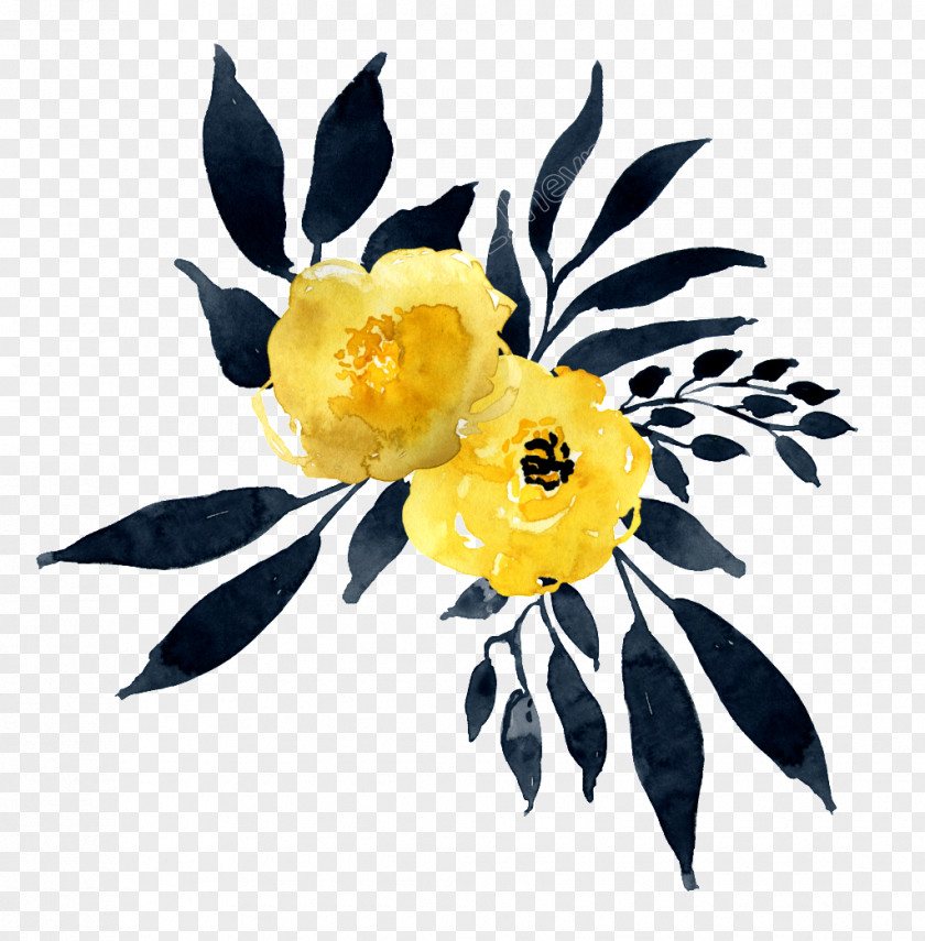 Flower Watercolour Flowers Watercolor Painting Yellow Vector Graphics PNG
