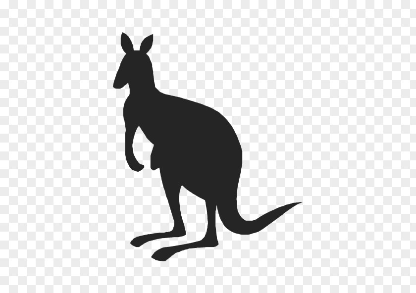 Kangaroo Silhouette Drawing Clip Art PNG