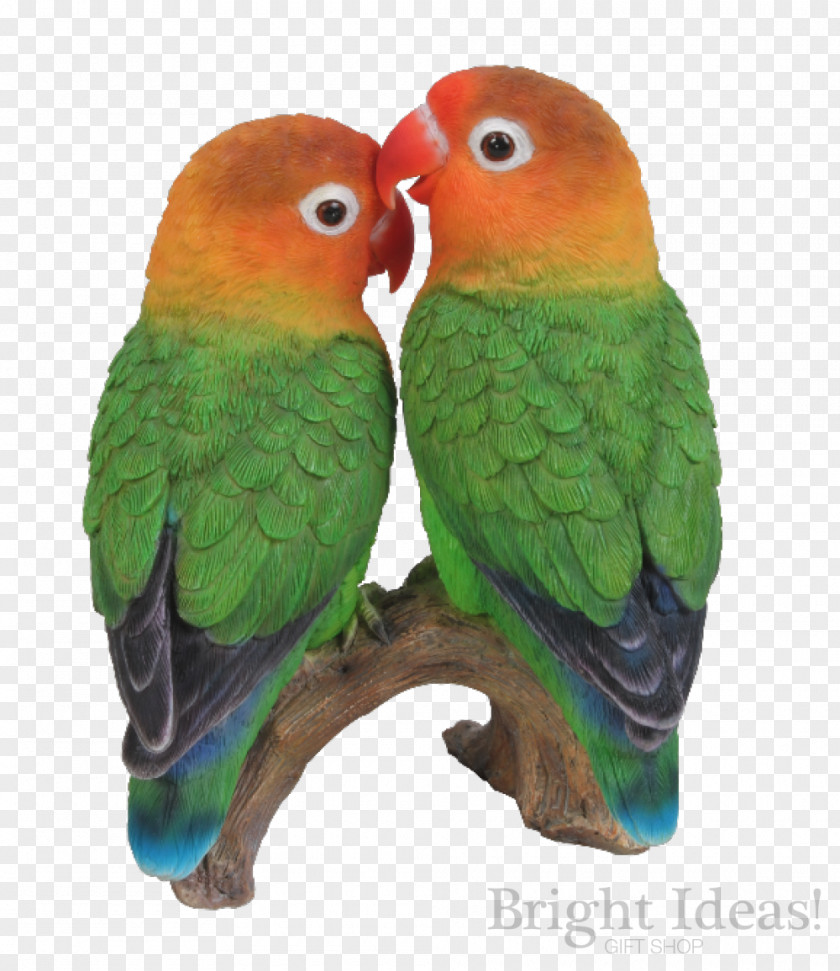 Love Bird Lovebird Parrot Ornament Art PNG