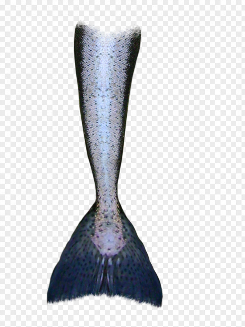 Mermaid Tail Drawing Siren PNG