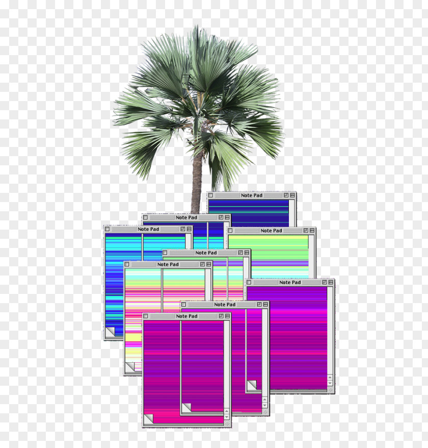 Tree Arecaceae Latania Architecture Plant PNG