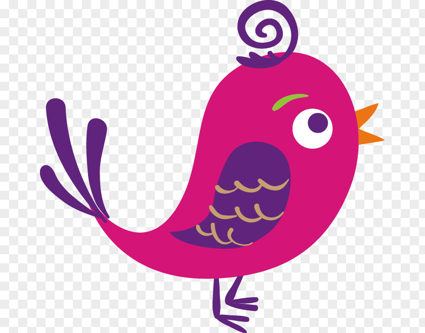 Birds Flat Google Images Logo PNG