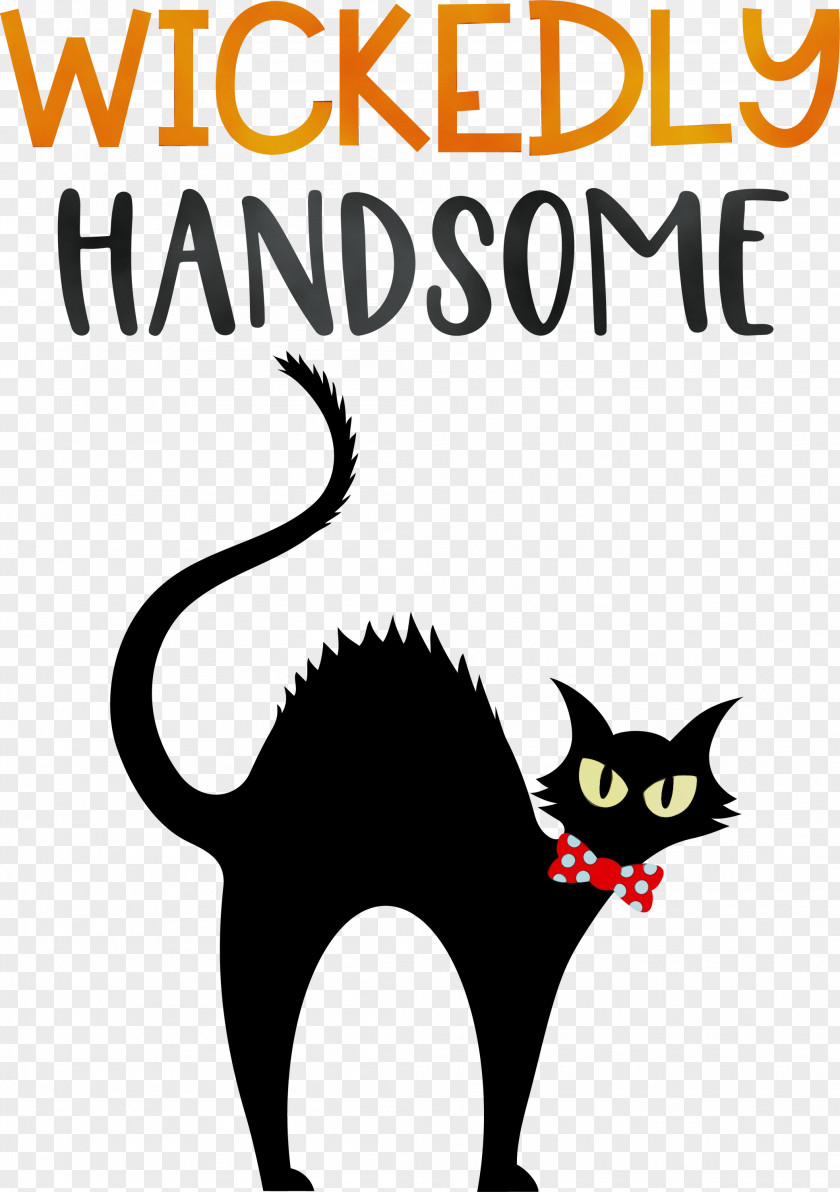 Cat Kitten Black Paw Whiskers PNG