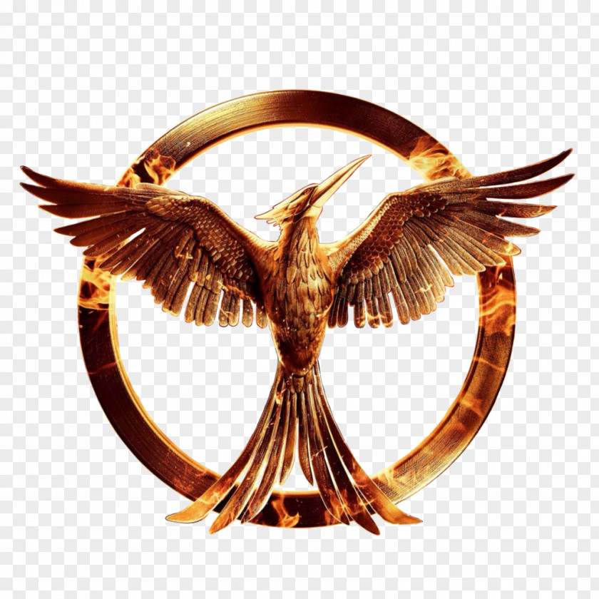 The Hunger Games File Mockingjay Peeta Mellark PNG