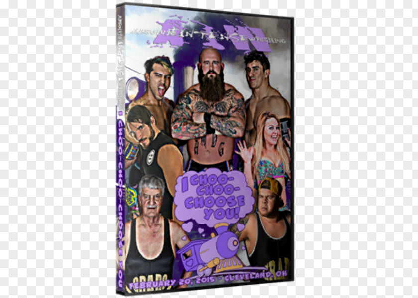 United States Absolute Intense Wrestling .com Professional Tag Team PNG
