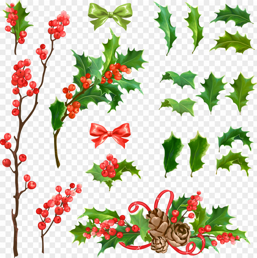 Various Styles Vector Christmas Tree Decoration Common Holly Euclidean PNG