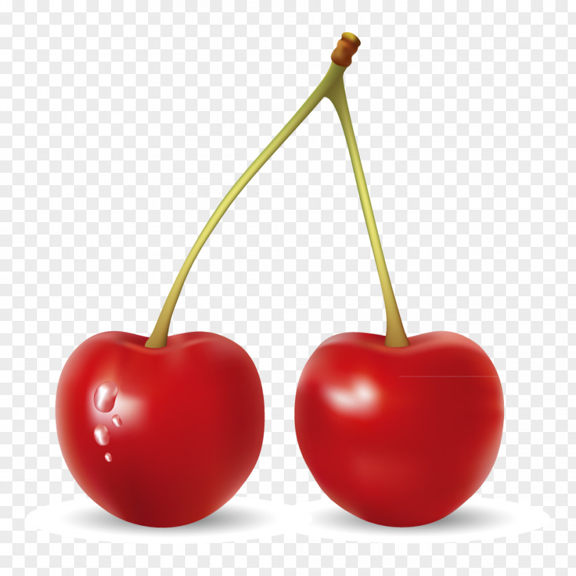 Vector Cherry Fruit Apricot Banana PNG