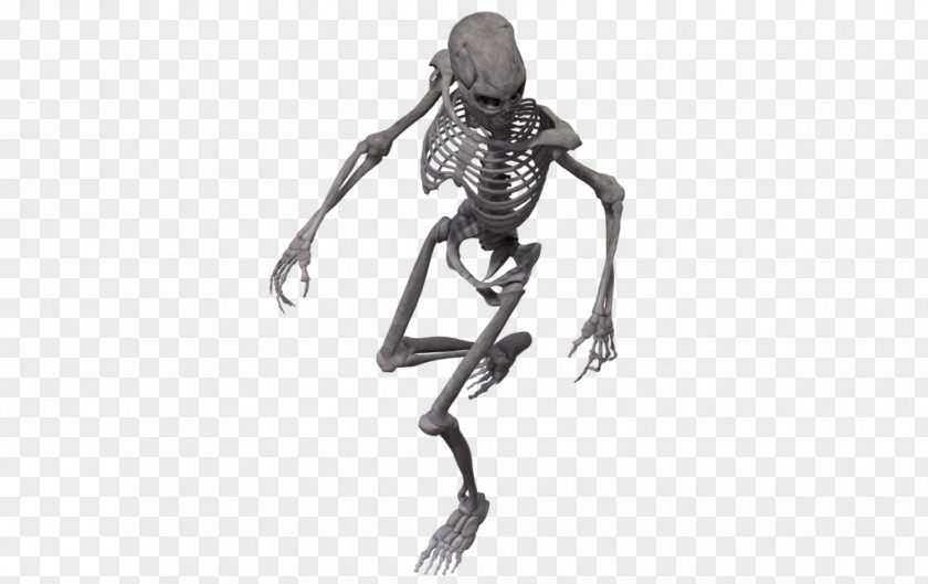 Creative Skeleton Human DeviantArt Joint PNG