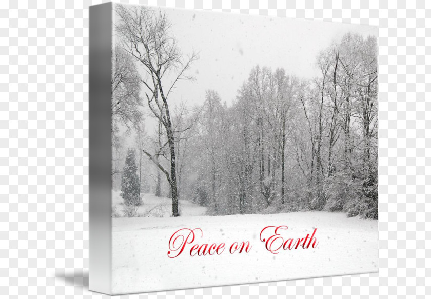 Tree Picture Frames Blizzard Entertainment PNG