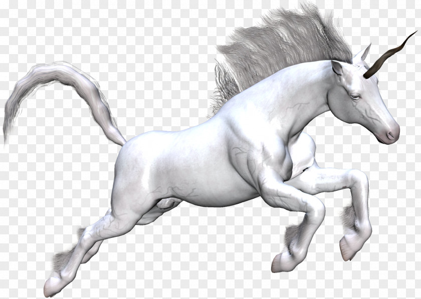 Unicorns Unicorn Horse Clip Art PNG