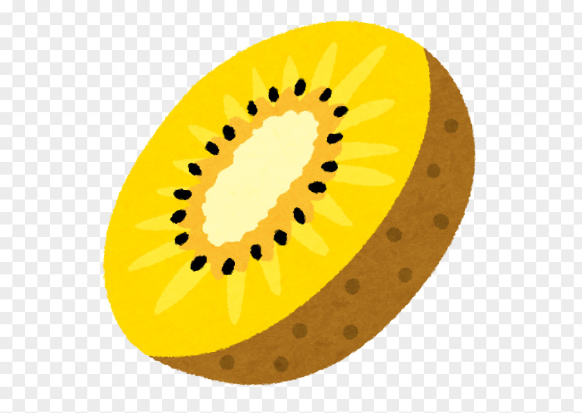 Kiwifruit Actinidain Food いらすとや PNG