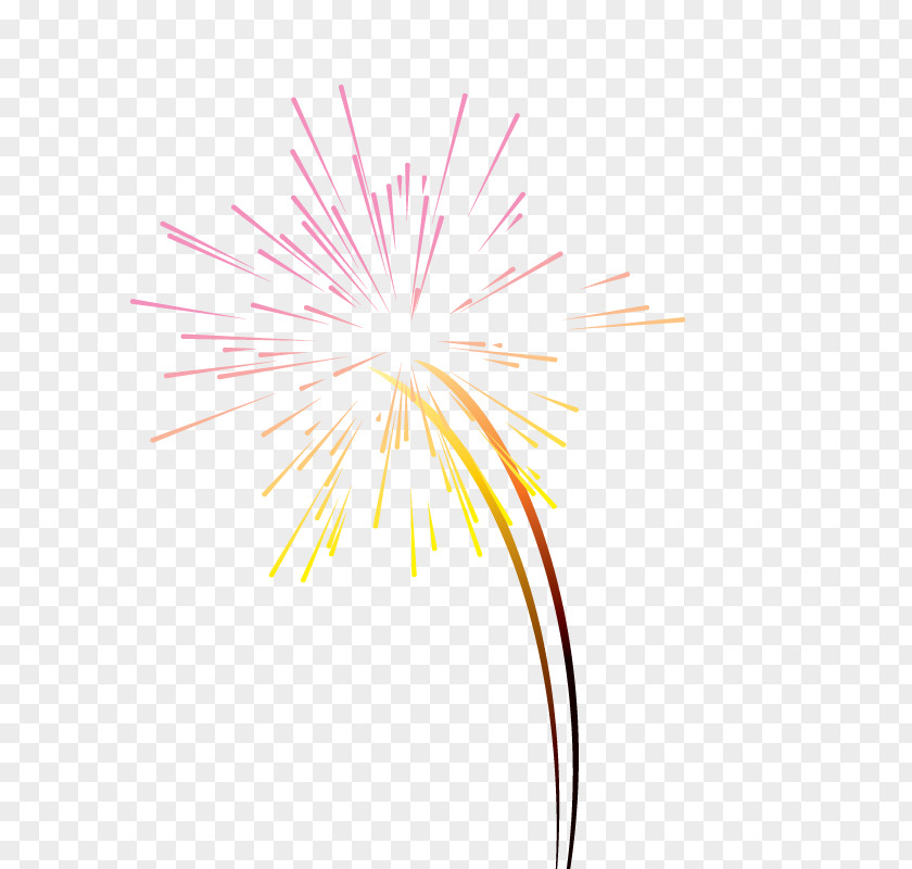 New Year Fireworks Graphic Design Text Petal Illustration PNG