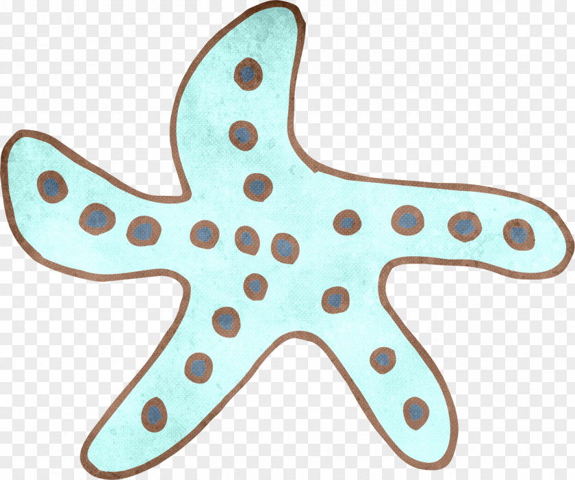 Starfish Blue PNG