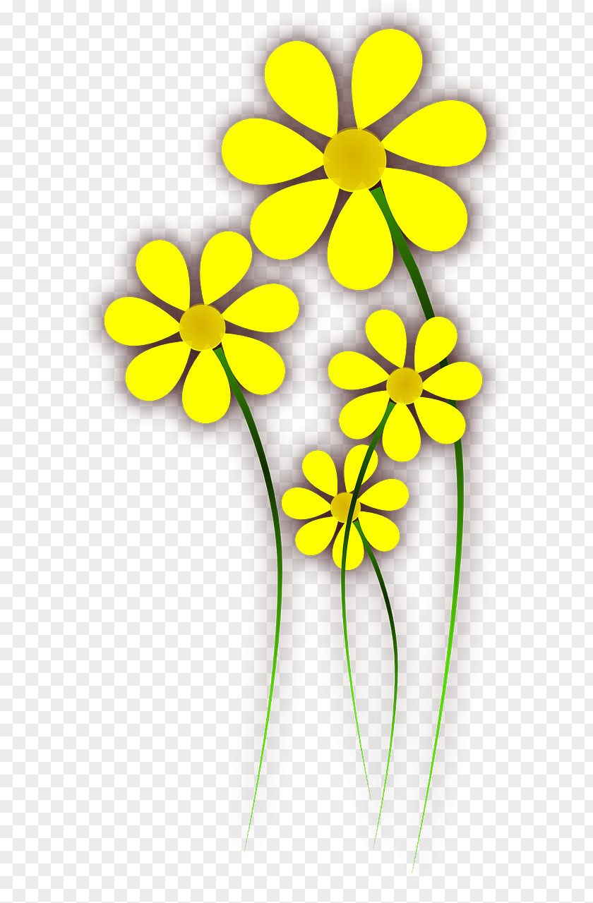 Wild Flowers Flower Yellow Clip Art PNG
