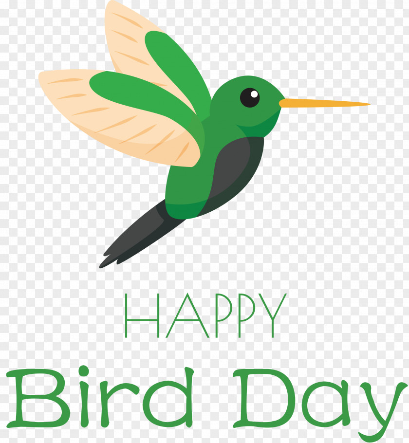 Bird Day Happy International PNG