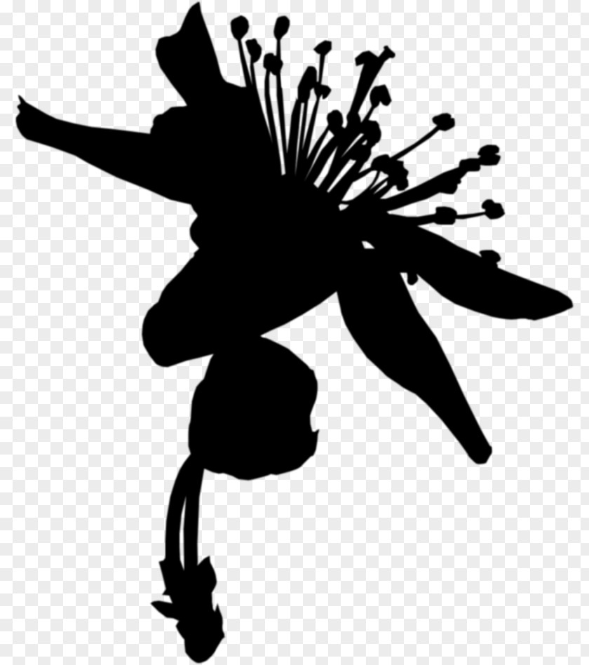 Clip Art Flowering Plant Silhouette Branching PNG