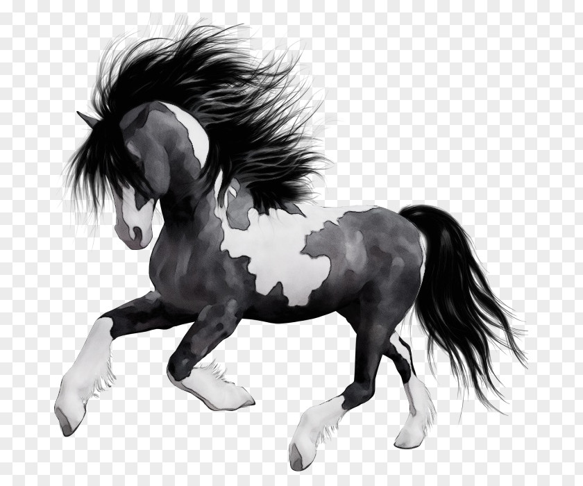 Drawing Mare Horse Mane Animal Figure Shetland Pony Stallion PNG