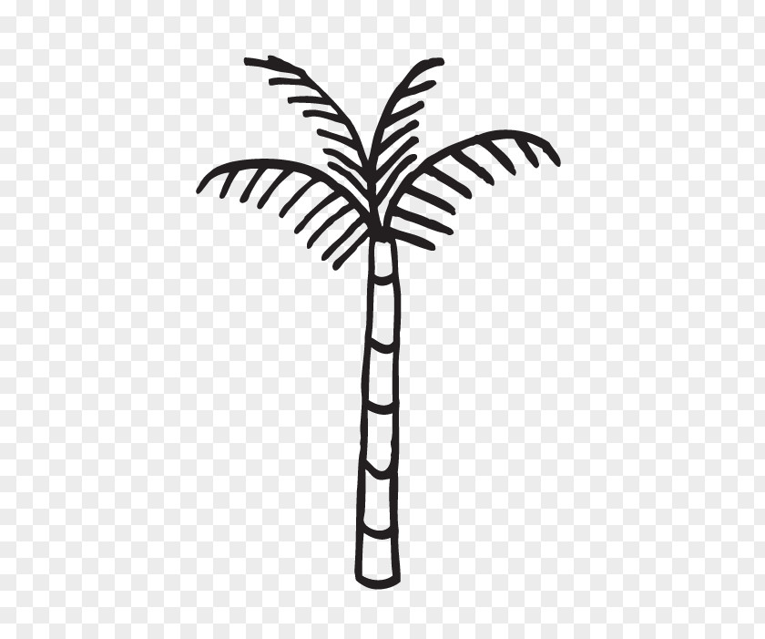 Elaeis Date Palm Tree Leaf PNG