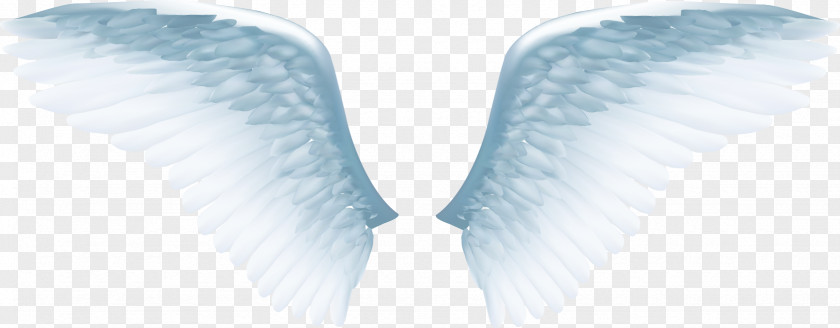Exquisite White Angel Wings Wing Icon PNG
