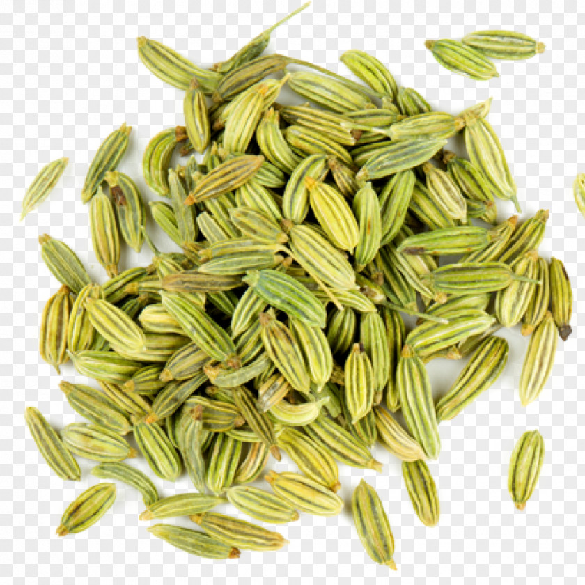 Fennel Spice Flavor Seed Fenugreek PNG