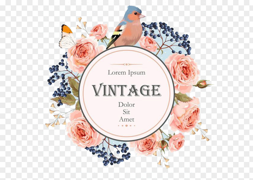 Parrot Flower Wedding Cover The Little Book Of Vintage Colouring Floral Design Wreath PNG