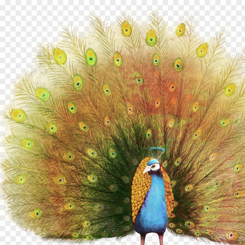 Peacock Paper Oil Painting Peafowl PNG