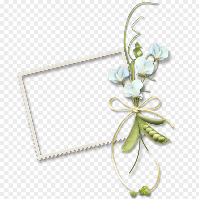 Vector Painted Frame Border,White Download PNG