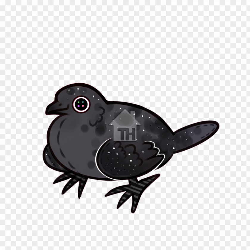 American Mourning Dove Bird PNG