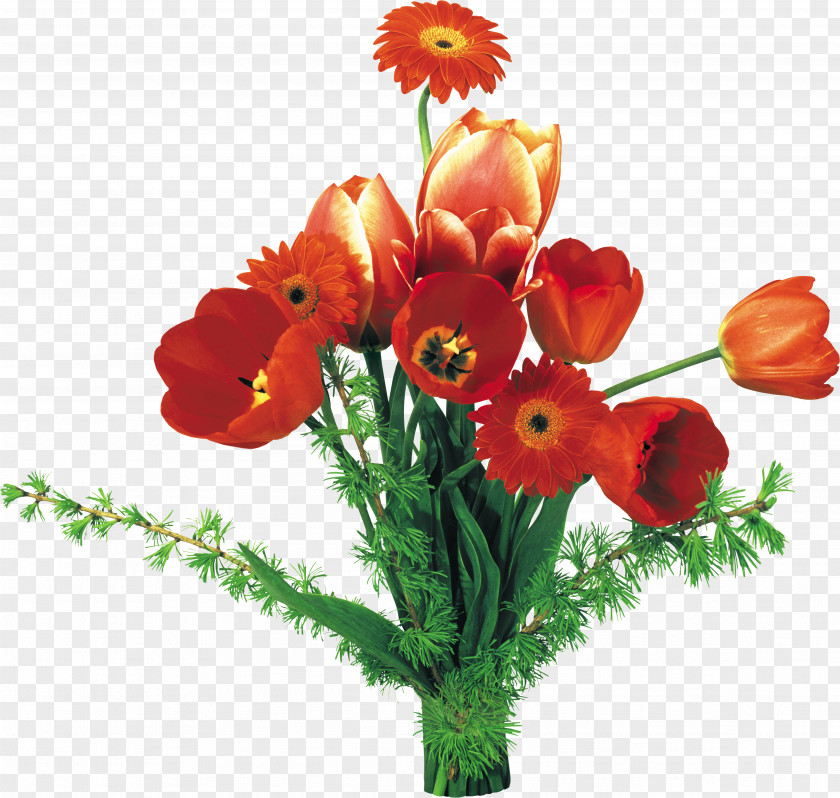 Gerbera Tulip Cut Flowers Desktop Wallpaper Flower Bouquet PNG