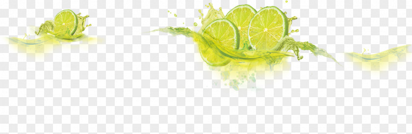 Lemonade Fizzy Drinks Juice Sugar PNG