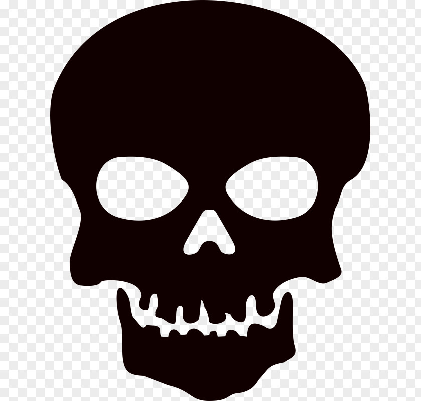 Skull Human Symbolism Clip Art PNG