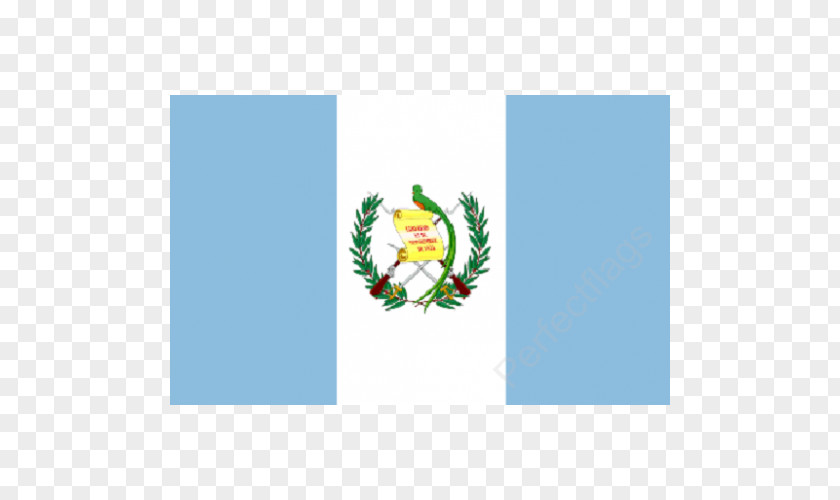 Flag Of Guatemala National T-shirt PNG