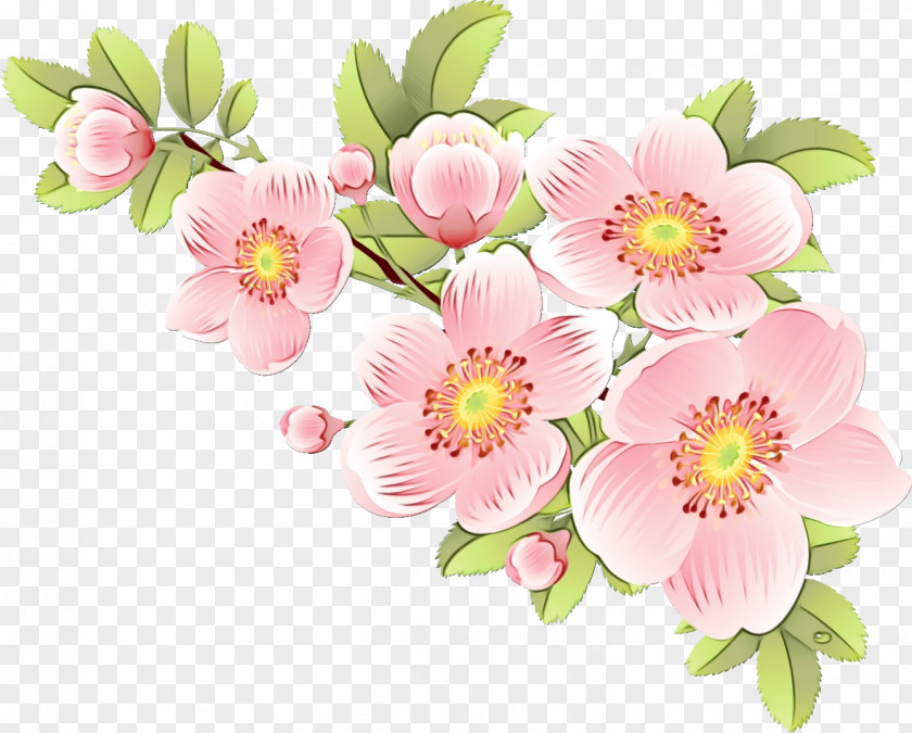 Flower Bouquet Floral Design Desktop Wallpaper Blossom PNG