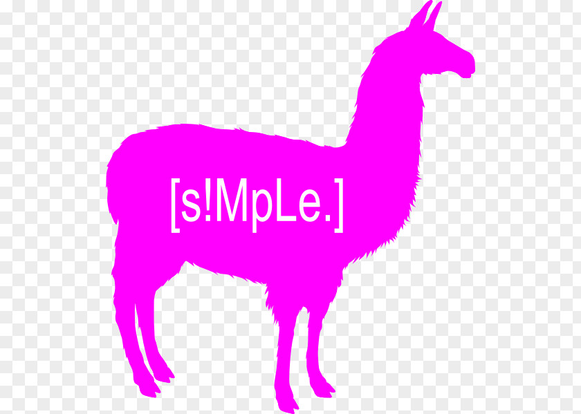 Pink Neon Word Llama Alpaca Silhouette Clip Art PNG