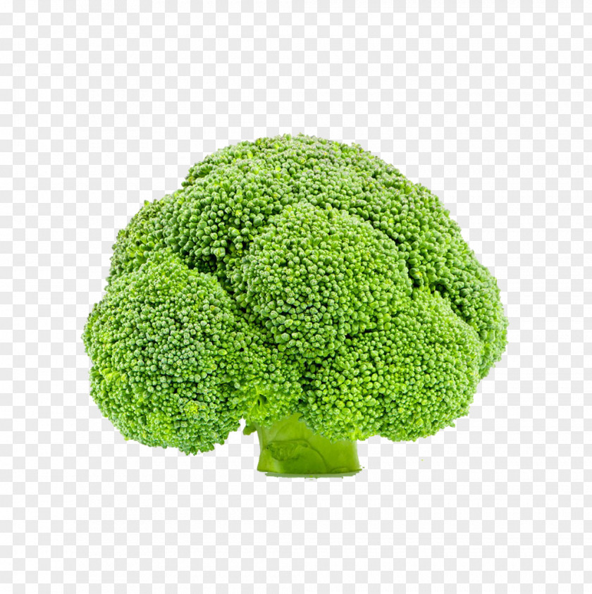 Creative Broccoli Vegetable Cauliflower PNG