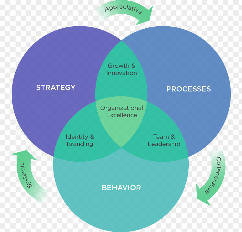 Organizational Culture Organization Development Change Management Team PNG