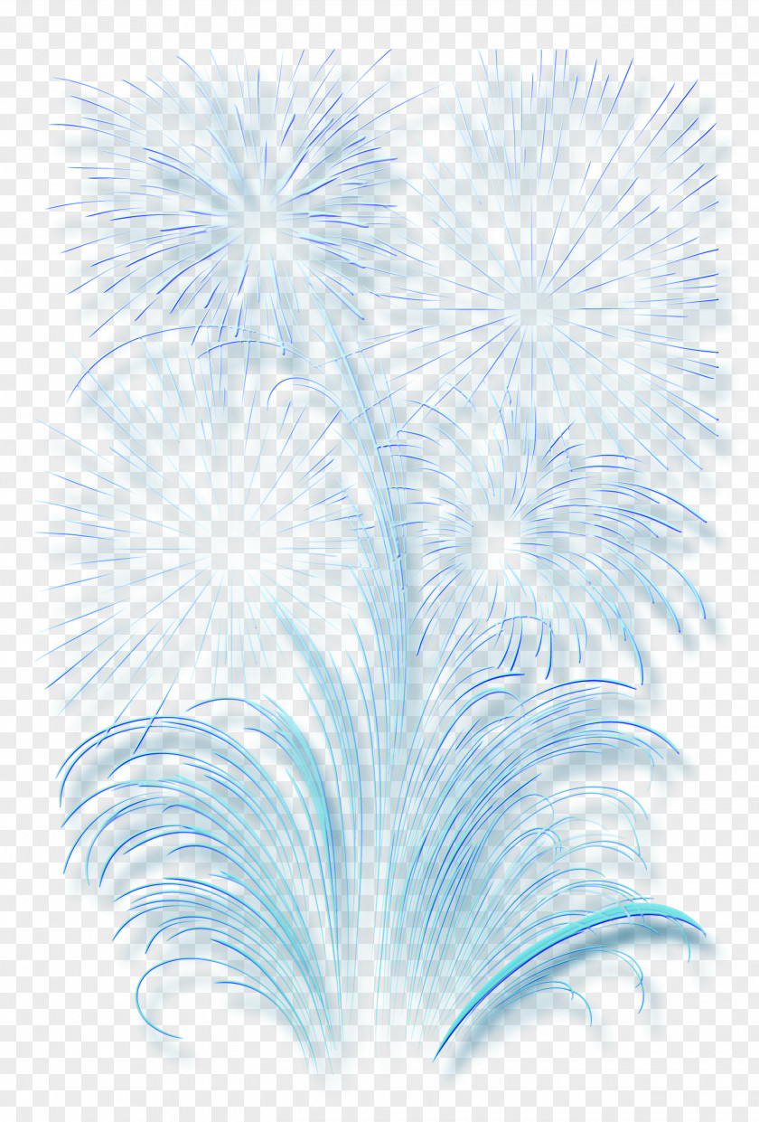 Fireworks Photography PNG