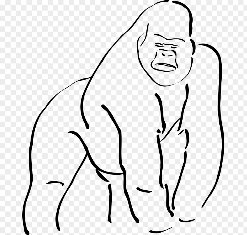 Gorilla Mountain Ape Drawing Clip Art PNG