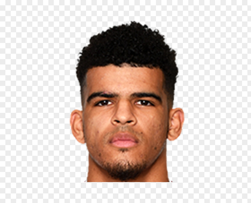 Hirving Lozano Dominic Solanke Liverpool F.C. England National Football Team Sport Moustache PNG