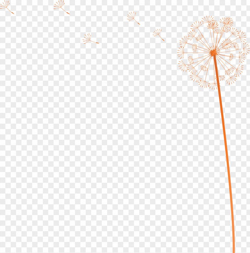 Dandelion PNG