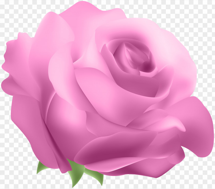 Deco Rose Pink Clip Art Blue PNG