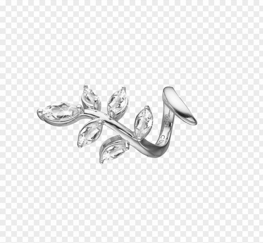 Leaf Collection Earring Charm Bracelet Carat Jewellery Gold PNG