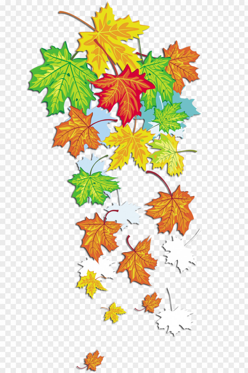 Leaves Clipart Golden Autumn Season Leaf Summer PNG