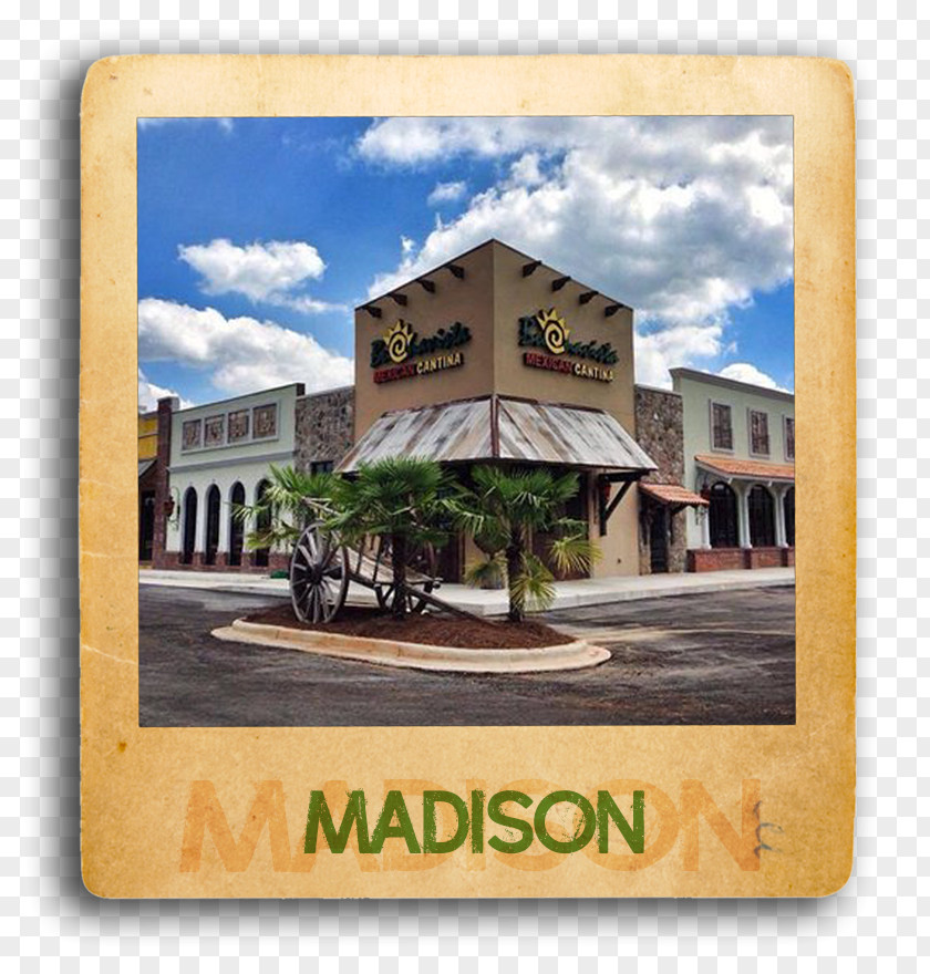 Madison Buenavista Mexican Cantina | Hampton Cove Mountain Boulevard Southeast Catering Restaurant PNG