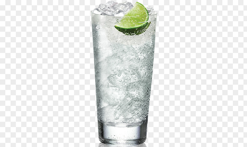 Martini Gin And Tonic Water Elderflower Cordial Cocktail PNG