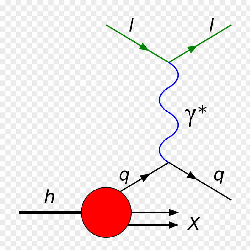 Quantum Chromodynamics Deep Inelastic Scattering Collision Lepton PNG