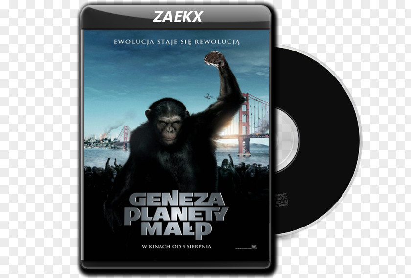 Young Godz Planet Of The Apes Science Fiction Film Poster Director PNG